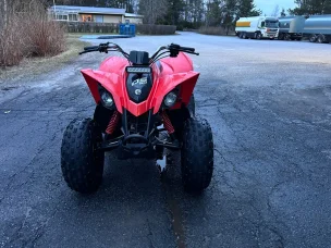 Can-Am DS
