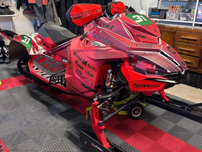 Lynx RS