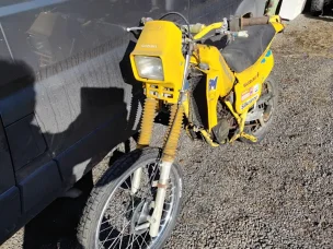Suzuki TS