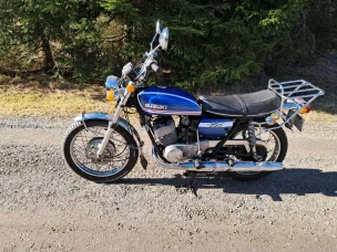 Suzuki T