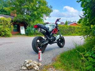 Dynamic Monster