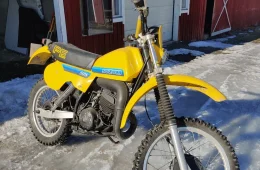 Suzuki pe