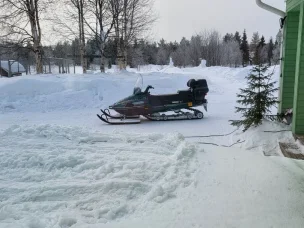 Yamaha Viking 540  III