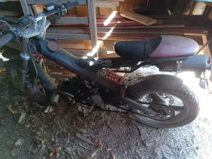 Sachs MadAss