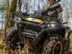 Linhai Landforce