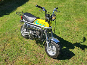 Suzuki PV
