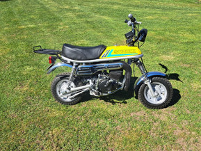 Suzuki PV