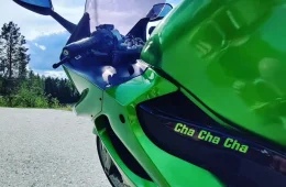 Kawasaki ZZR