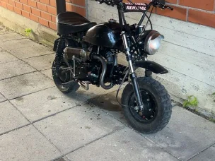 Zhenua Monkey