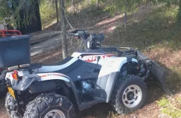 Linhai 300 T3B