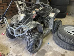 Bashan ATV