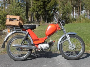 Solifer Export