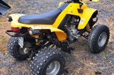 Can-Am DS