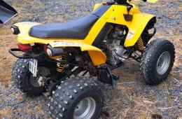 Can-Am DS