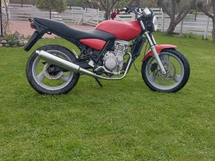 MZ RT