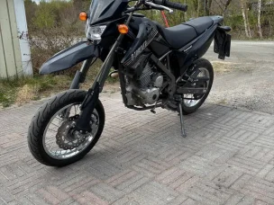 Kawasaki D-TRACKER