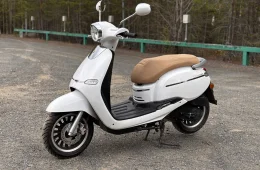 Znen Cruise