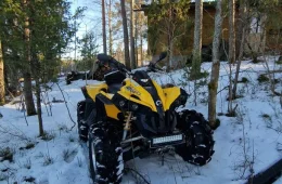 Can-Am renegade