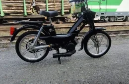 Peugeot Vogue