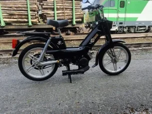 Peugeot Vogue