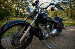 Harley-Davidson Softail