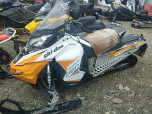 Ski-Doo Renegade