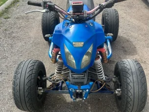 Bashan BS300S