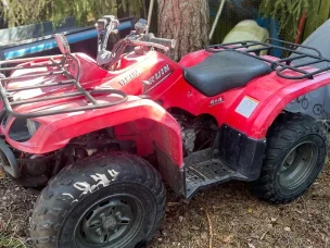 Yamaha Bruin