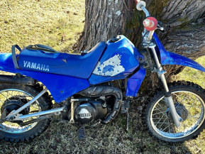 Yamaha PW