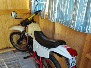 Suzuki S-1
