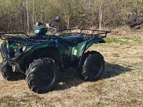 Yamaha Grizzly