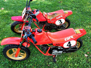 Yamaha PW