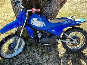 Yamaha PW