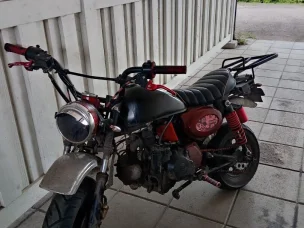 Zhenua Monkey