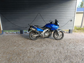 Suzuki DL