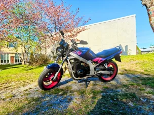 Suzuki GS