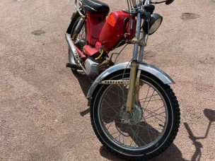Solifer Export
