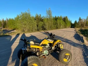 Bashan BS200S-7