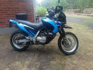 BMW F