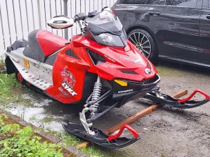 Lynx Rave