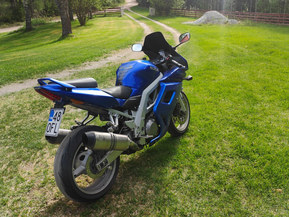 Suzuki SV