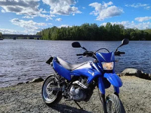 Suzuki DR