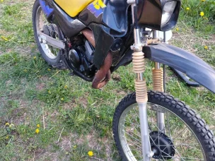 Suzuki TS