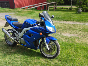 Suzuki SV