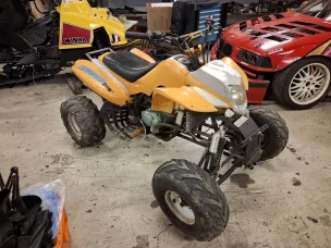Bashan BS200S-6