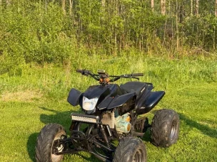 Bashan BS200S-7