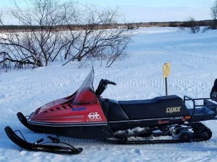 Lynx 3900 Syncro