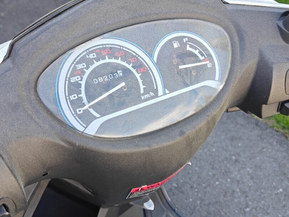 Solifer F1