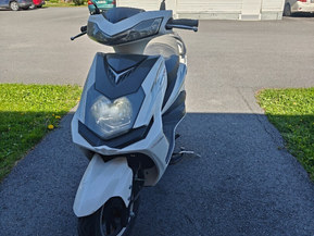 Solifer F1