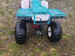 Polaris Trail Boss